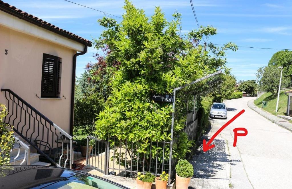 בוג'ה Apartment Tina Istra מראה חיצוני תמונה